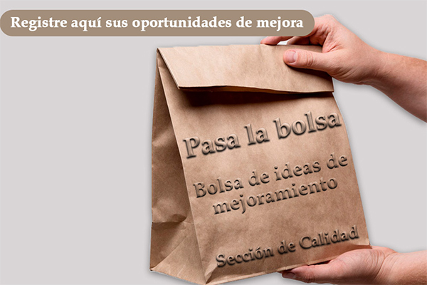 bolsa ideas